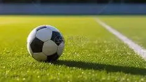 法國國家隊世界杯冠軍頻率