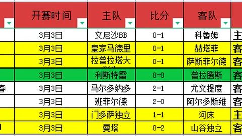 AI生成海贼无双4真人演员采访内容